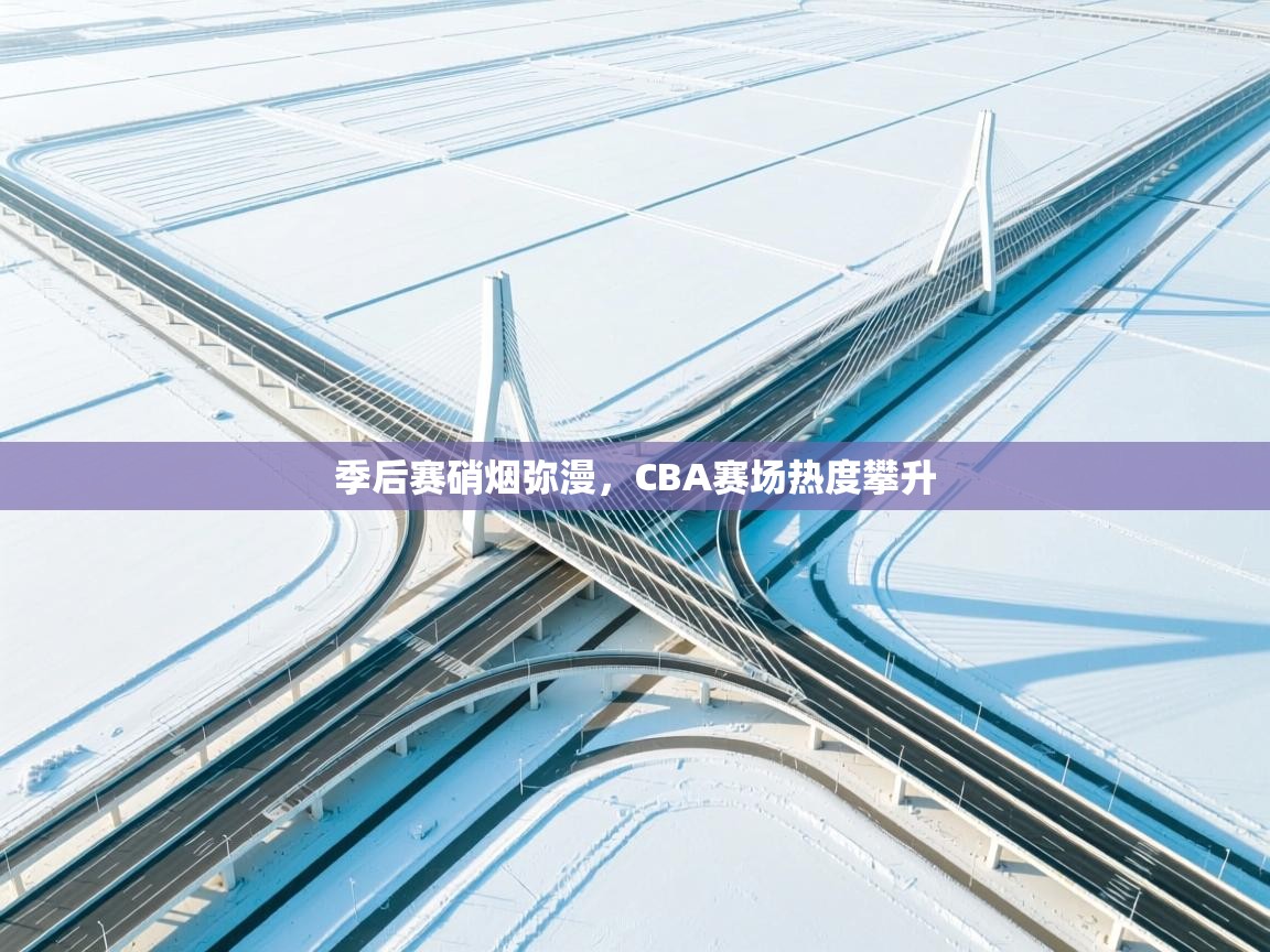季后赛硝烟弥漫,CBA赛场热度攀升 第2张